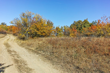 Fototapeta premium Landscape of Cherna Gora mountain, Bulgaria