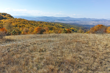 Landscape of Cherna Gora mountain, Bulgaria