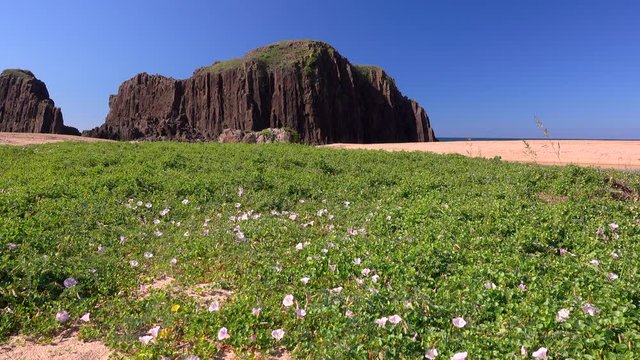 Tachiiwa rock on beach, Tango Peninsula, Kyoto Prefecture, Japan