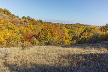 Landscape of Cherna Gora mountain, Bulgaria
