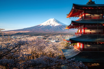 Fujiyoshida, Japan at Chureito Pagoda and Mt. Fuji in the spring with cherry blossoms full bloom...