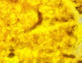 Creative abstract painting background in oil. Textured brush strokes of paint. Colorful design pattern. Artistic drawing grunge texture. Watercolor mixed fine art template for decoration. Vintage.