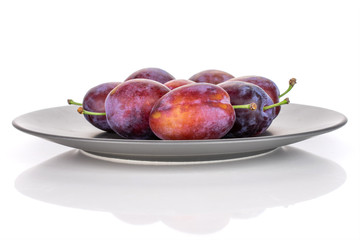 Lot of whole fresh blue plum on a gray ceramic plate isolated on white background