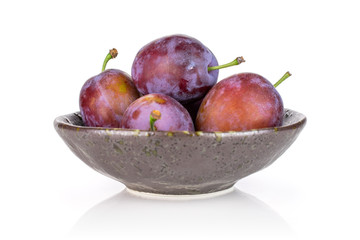 Group of four whole fresh blue plum in a dark ceramic bowl isolated on white background