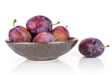 Group of five whole fresh blue plum in a dark ceramic bowl isolated on white background