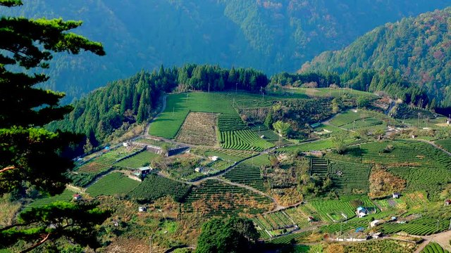 View of fields on plateau, Kamiga Ryu, Kamogawa Town, Gamagor
