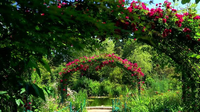 Monet's Garden Marmottan, Kitagawa, Kochi Prefecture, Japan
