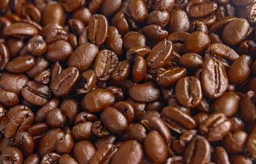 coffee beans background 4