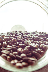coffee beans sunrise