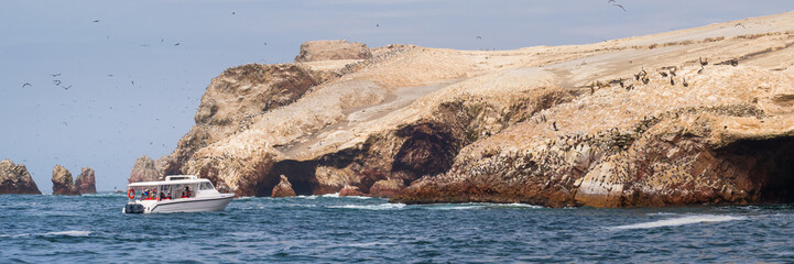 Fototapeta na wymiar Ballestas island in Paracas, Ica region in Peru
