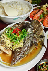 Steamed sturgeon with soya sauce, Chinese food menu. served on white plate