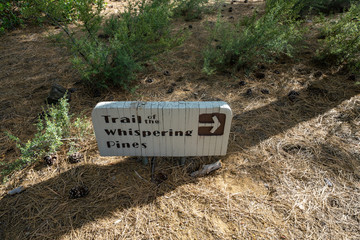 Sign for the Trail of Whispering Pines in Lava Lands Newberry Volcano. National Monument in Central...
