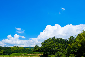 【写真素材】 青空　空　雲　真夏の空　背景　背景素材　7月　コピースペース　