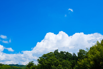 【写真素材】 青空　空　雲　真夏の空　背景　背景素材　7月　コピースペース　