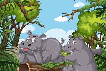 Cute hippos in jungle scene