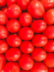 Set of Tomatoes