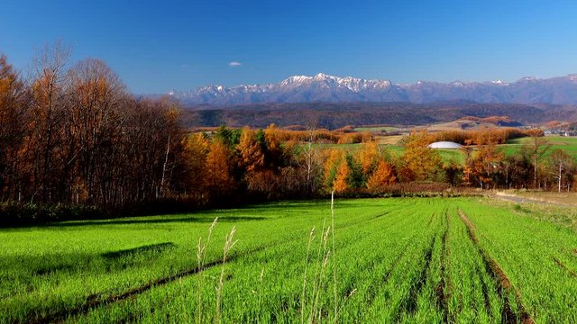 Yubari Mountains and field, Furano, Hokkaido, Japan