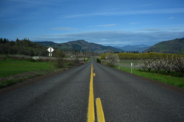 The Historic Columbia River Highway Near Mosier, Oregon