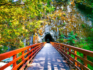 Railway Train Tunnel in Rural Cliff Stone Canyon Autumn Trees