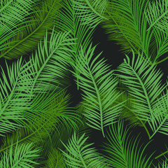 Seamless black and green palm tree leaves pattern vector