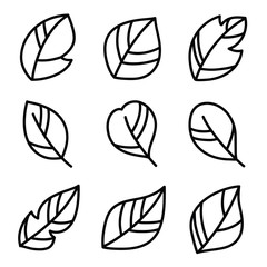 Fototapeta premium Leaves icon set. Leaf vector design for logo and nature brand identity.