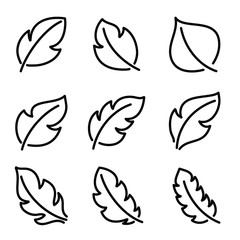 Leaves icon set. Leaf vector design for logo and nature brand identity.