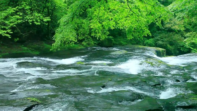 View of wavy river, Kikuchi, Kumamoto Prefecture, Japan