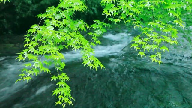 View of wavy river, Kikuchi, Kumamoto Prefecture, Japan