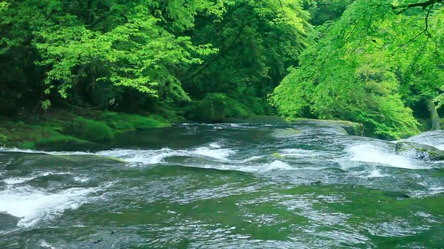 View of wavy river, Kikuchi, Kumamoto Prefecture, Japan