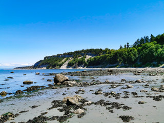 Pacific Northwest Ocean Beach Rocky and Seaweed