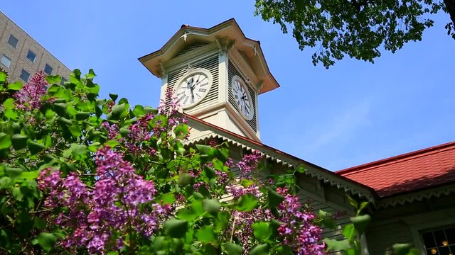 Low angle view of building with clock tower, Sapporo, Hokkaido, Japan