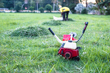 Grass cutter / brush cutter placing on grass field.