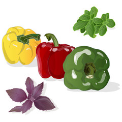 Tasty ripe bell peppers on white background. Vector illustration, separate layers per item