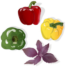 Tasty ripe bell peppers on white background. Vector illustration, separate layers per item