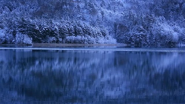 Winter landscape reflecting in lake
