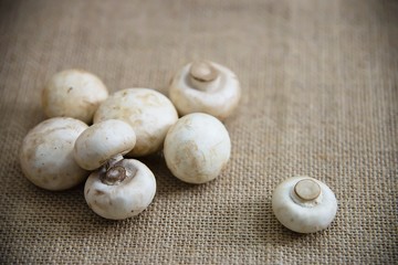 Fresh champignon mushroom vegetable in the kitchen - fresh mushroom vegetable cooking concept