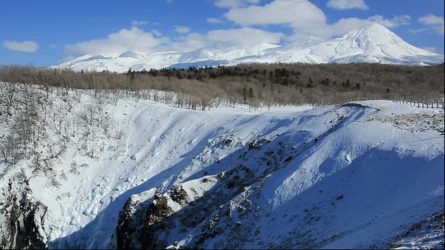 Forest and mountains in winter