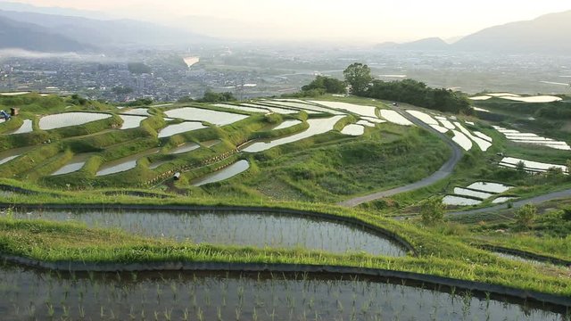 Obasute tanada terraced rice fields, Chikuma, Nagano Prefecture, Japan