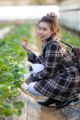 women with strawberry