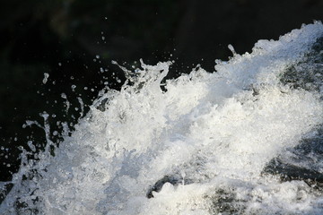 splash of water