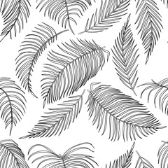 Vector sketch palm leaves seamless pattern, jungle leaf on white background.