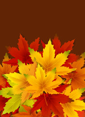 Autumn Background Template, with falling bunch of leaves, shopping sale or seasonal poster