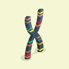 Illustration of chromosome in isometric style