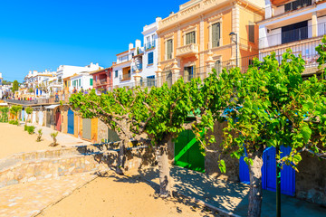 Fototapeta premium Colorful boat houses in Calella de Palafrugell village, Costa Brava, Catalonia, Spain
