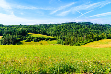 Green fields and Pieniny Mountains near Czorsztynskie lake on sunny summer day, Poland