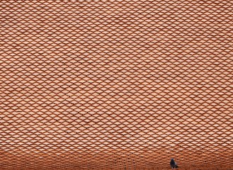 Dove on the roof of the temple in Thailand