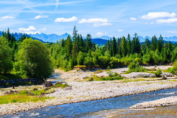 Dunajec river with green hills on shore on sunny summer day near Nowy Targ, Tatra Mountains, Poland