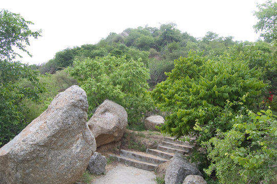 the view of mountain