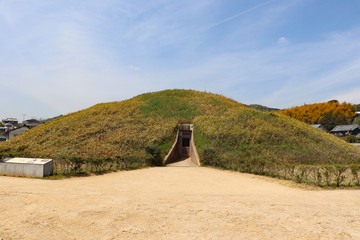 藤ノ木古墳の墳丘