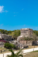 Tulum, Quintana Roo / Mexico - July 27 2019: This is the temples in in Tulum Mexico